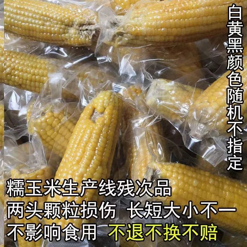 微瑕玉米甩卖十支装新鲜甜香黏非转基因无添加苞米棒早餐代餐