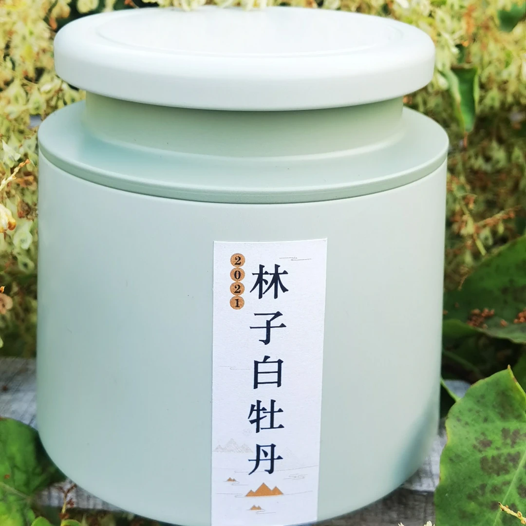 蘭芽春缥缈凝香 （荒野白牡丹） 2021