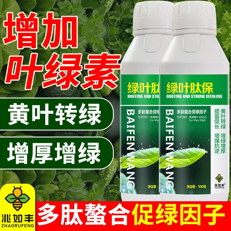 兆如丰绿叶肽保黄叶一喷绿提苗壮棵增绿增厚通用叶绿素氨基酸肥料