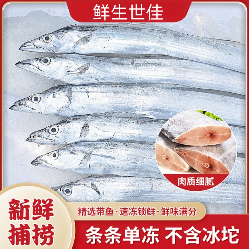青岛水产野生小眼油带鱼/刀鱼每条5/6两共5斤装鲜鱼速冻发货