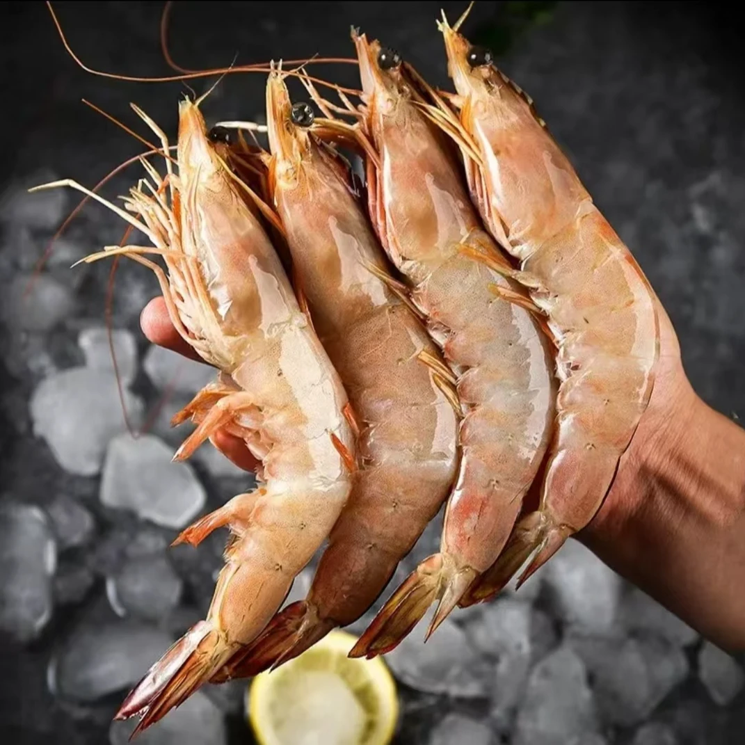 特大 自己家船捕捞原生态白对虾/明虾（每斤12只左右）不包冰不泡药