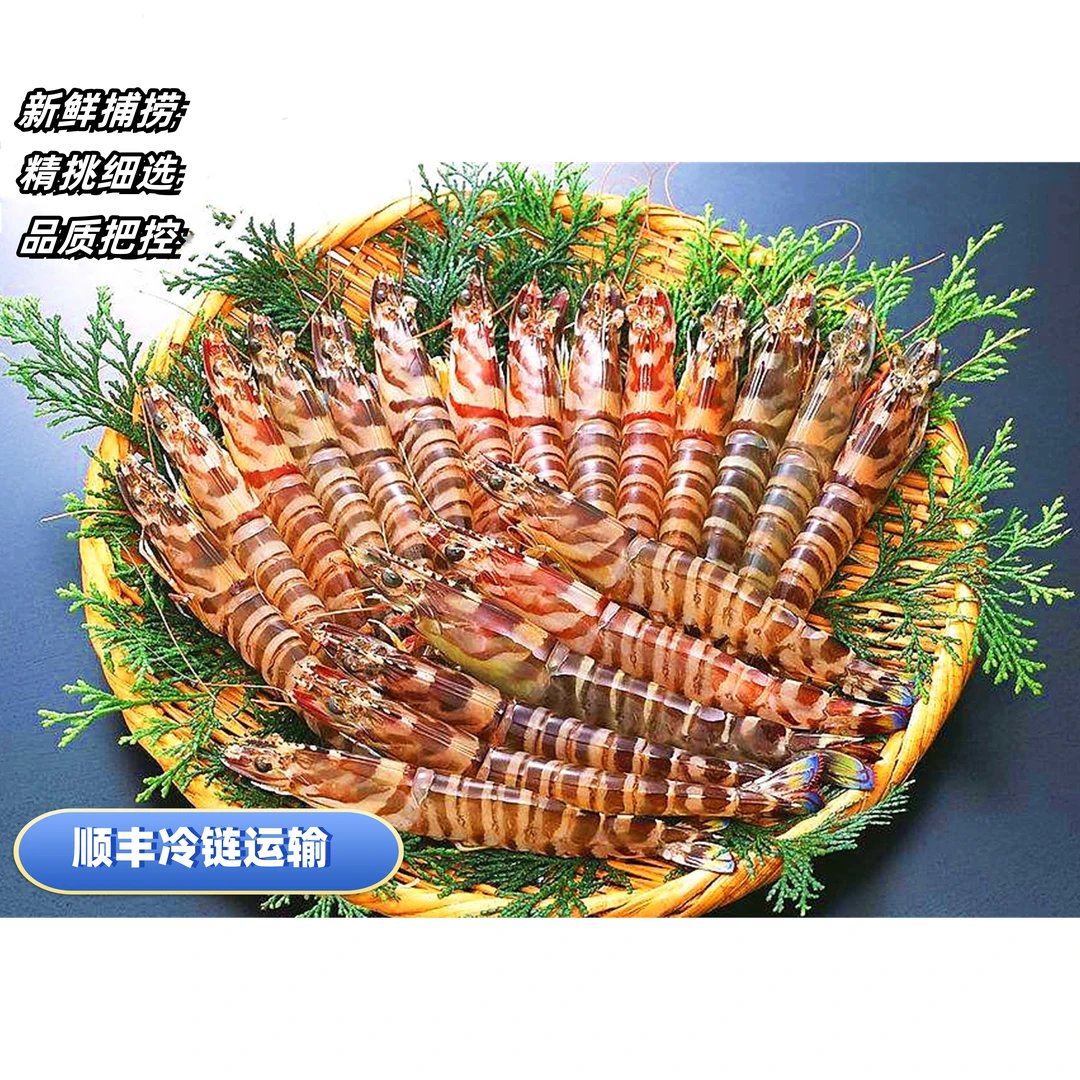 海捕九节虾/竹节虾/花虾（一斤30只左右)4+1共5盒 速冻后冷链发货