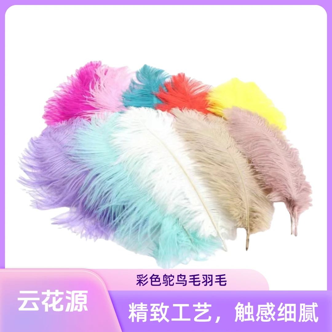 彩色鸵鸟毛羽毛云南批发人工养殖花束搭配装饰高端白色绣球永生花