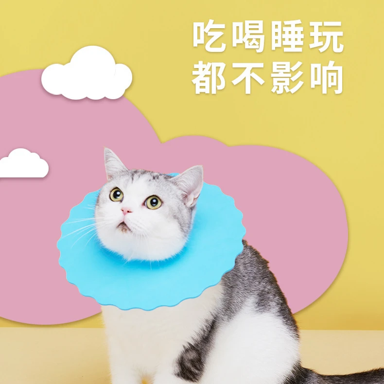 通用伊丽莎白圈EVA防水超轻防咬防护罩美容头套柔软宠物猫狗项圈