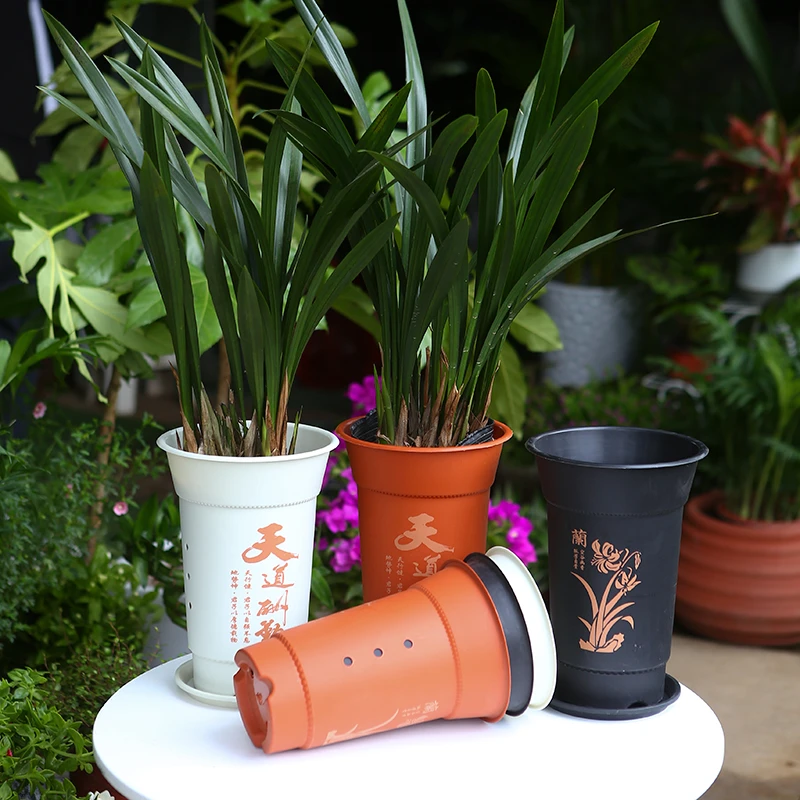 新款加厚透气塑料花盆兰花盆专用树脂印花沥水白红黑色家用兰草盆