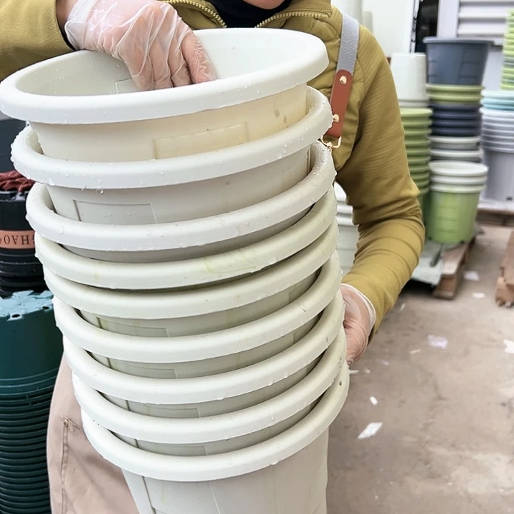 塑料瑕疵玫瑰240#米白色3个无托