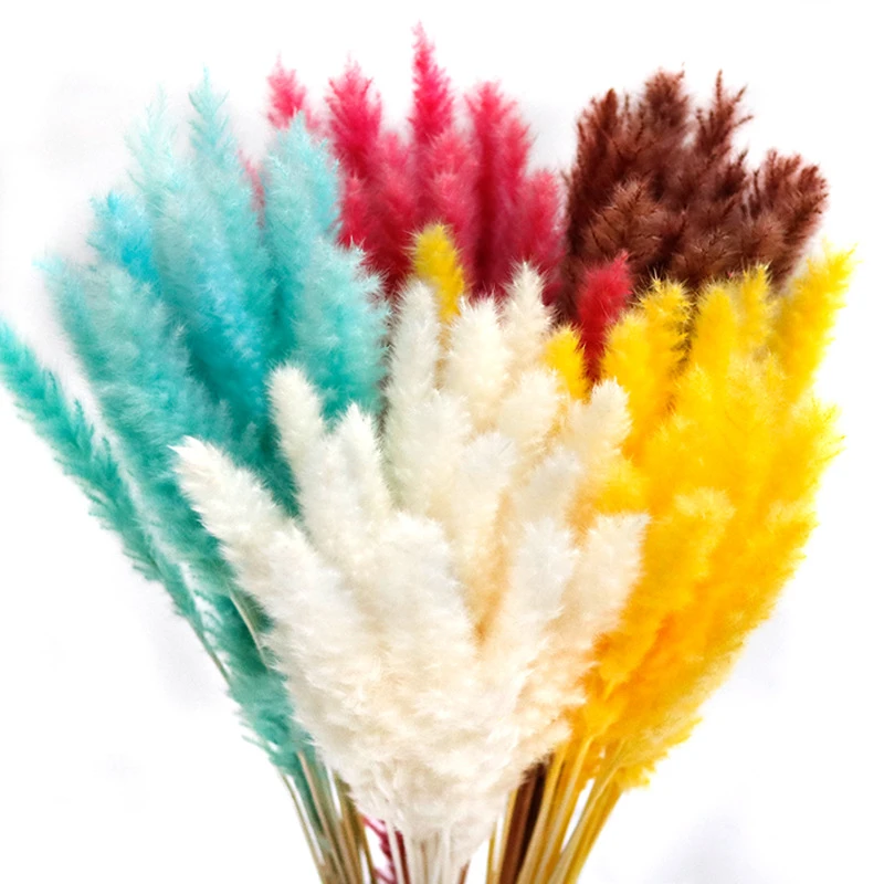 小芦苇干花装饰蒲苇材料花材天然真花永生花潘帕斯草花束配材配花