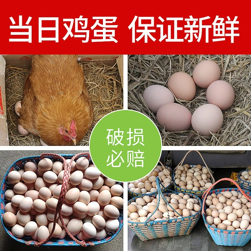 40枚土鸡蛋农家散养新鲜营养农产品笨鸡蛋农村自养柴鸡蛋草鸡蛋