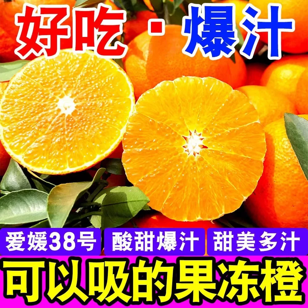 正宗四川爱媛38号果冻橙新鲜水果当季现摘果王精品礼盒装