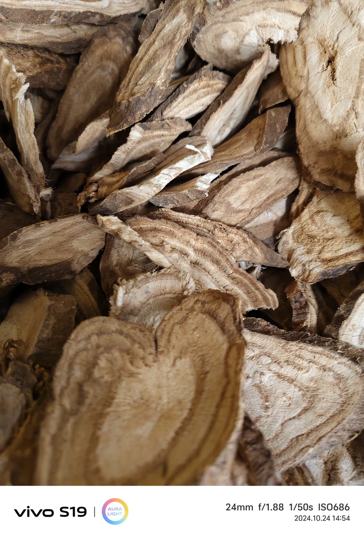 野外 菜挖   葛根