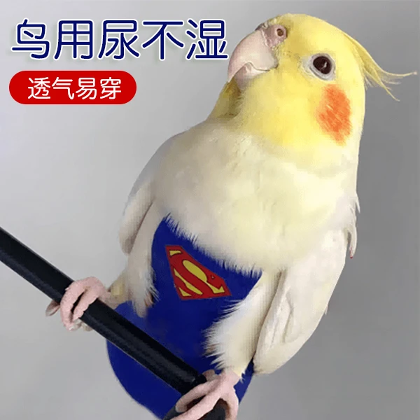 鹦鹉屎兜粪兜鸟衣服虎皮鹦鹉尿不湿纸尿裤飞行服便兜尿兜