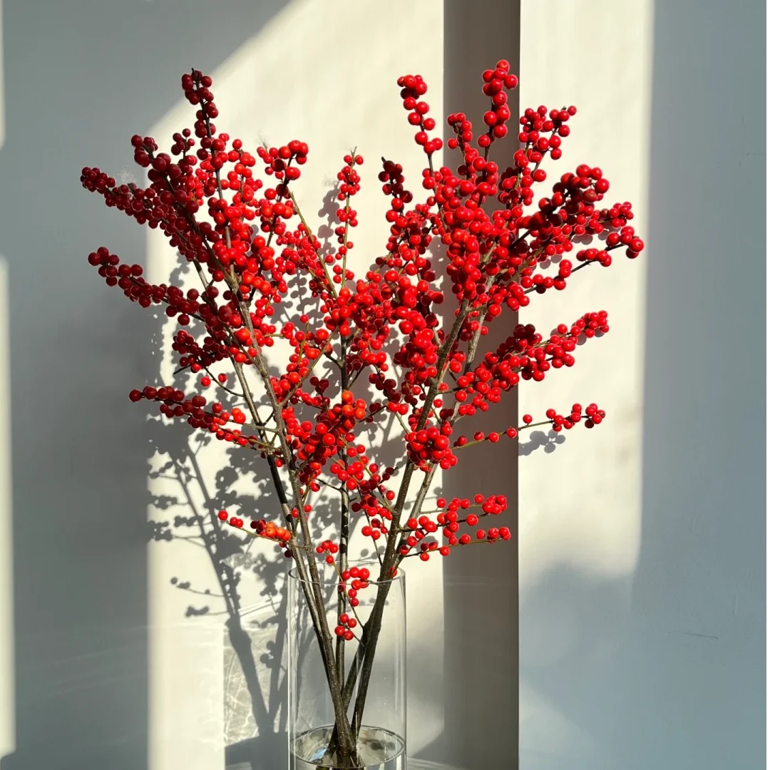 【王安园艺】高品质AAA级北美冬青桌面款鲜切花水养家用