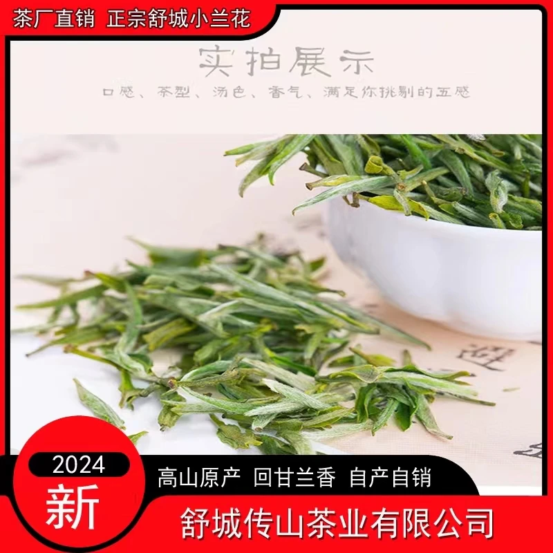 B4  2024年新茶舒城小兰花