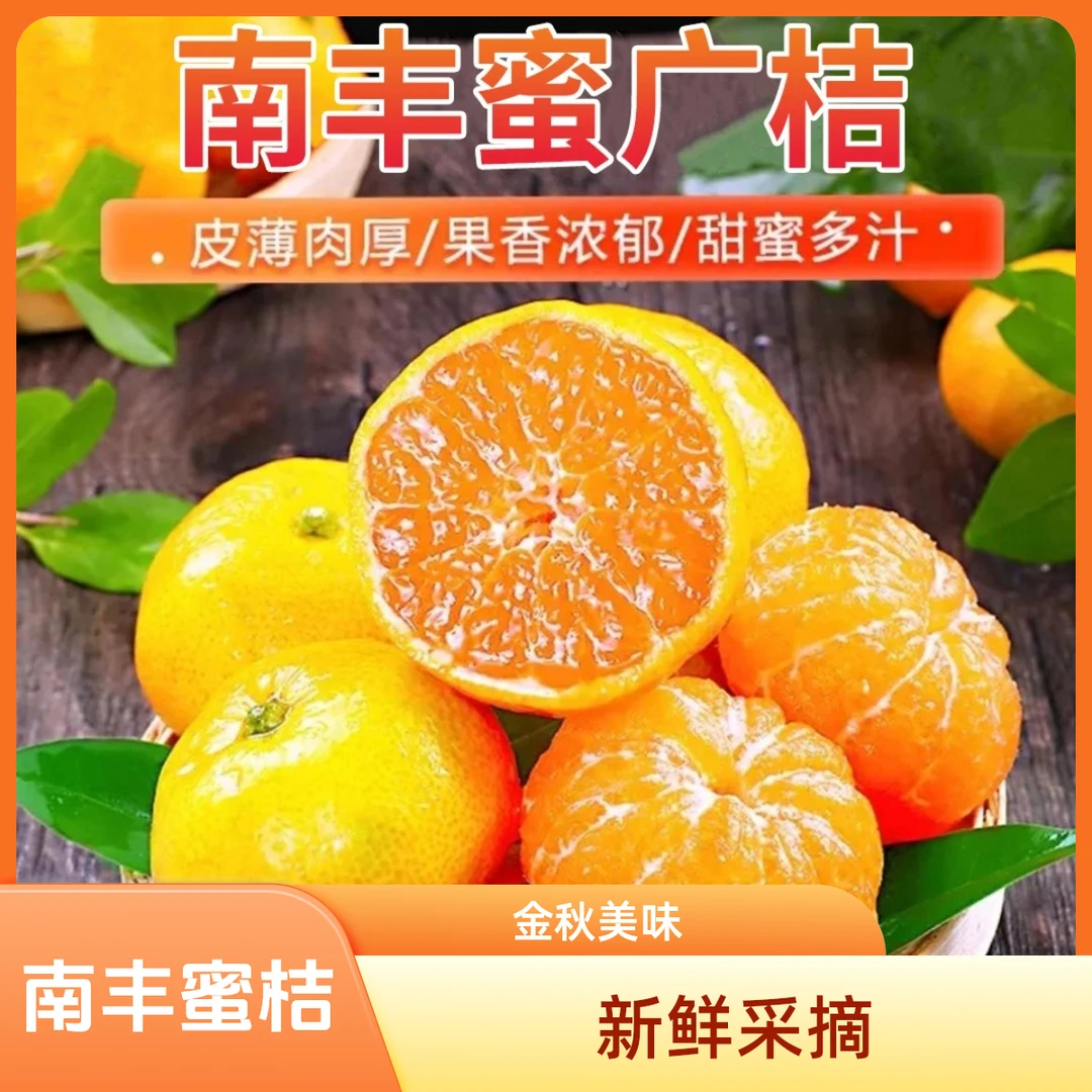 江西南丰蜜桔金秋蜜广小橘子新鲜现采现摘