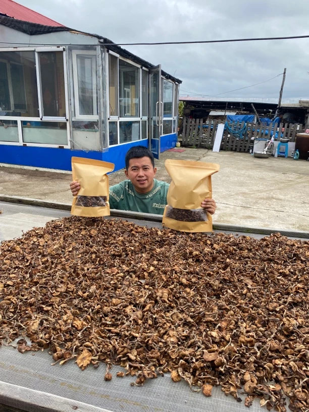 深山榛蘑（250g、500g）