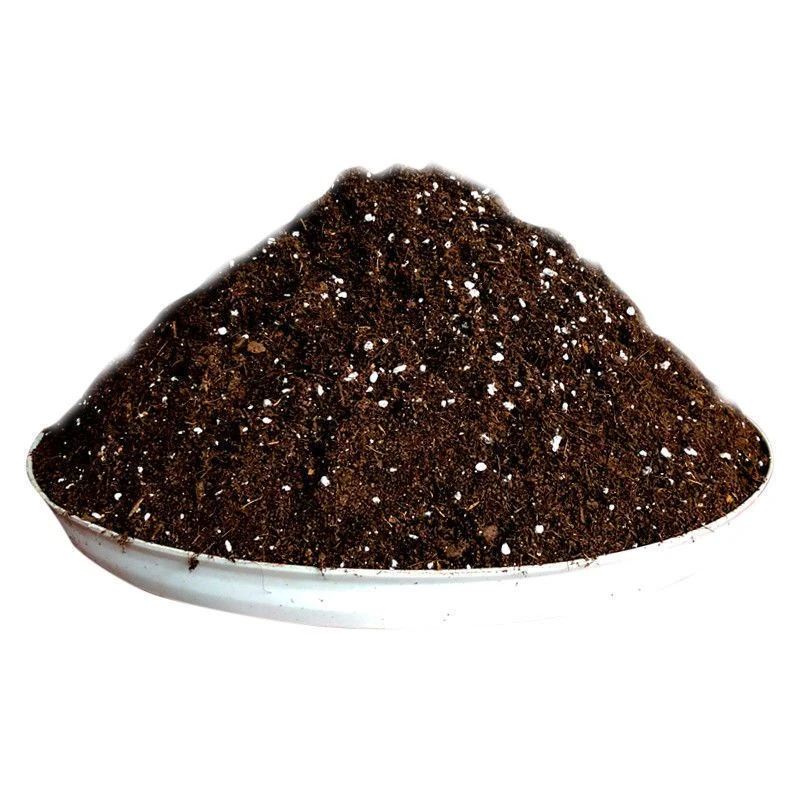 草莓营养土专用基质土