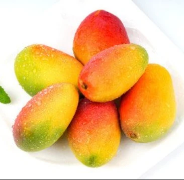红芒果　约400ｇ