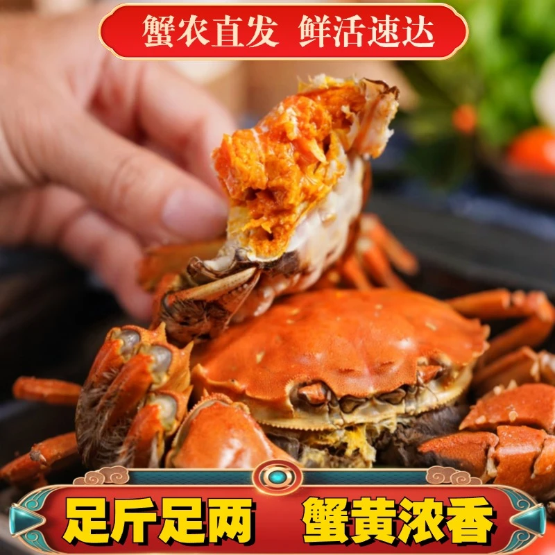 （活蟹）大闸蟹缺脚蟹2-4两2斤左右5-8大只 活蟹现发 自家吃美味实惠 顺丰包邮