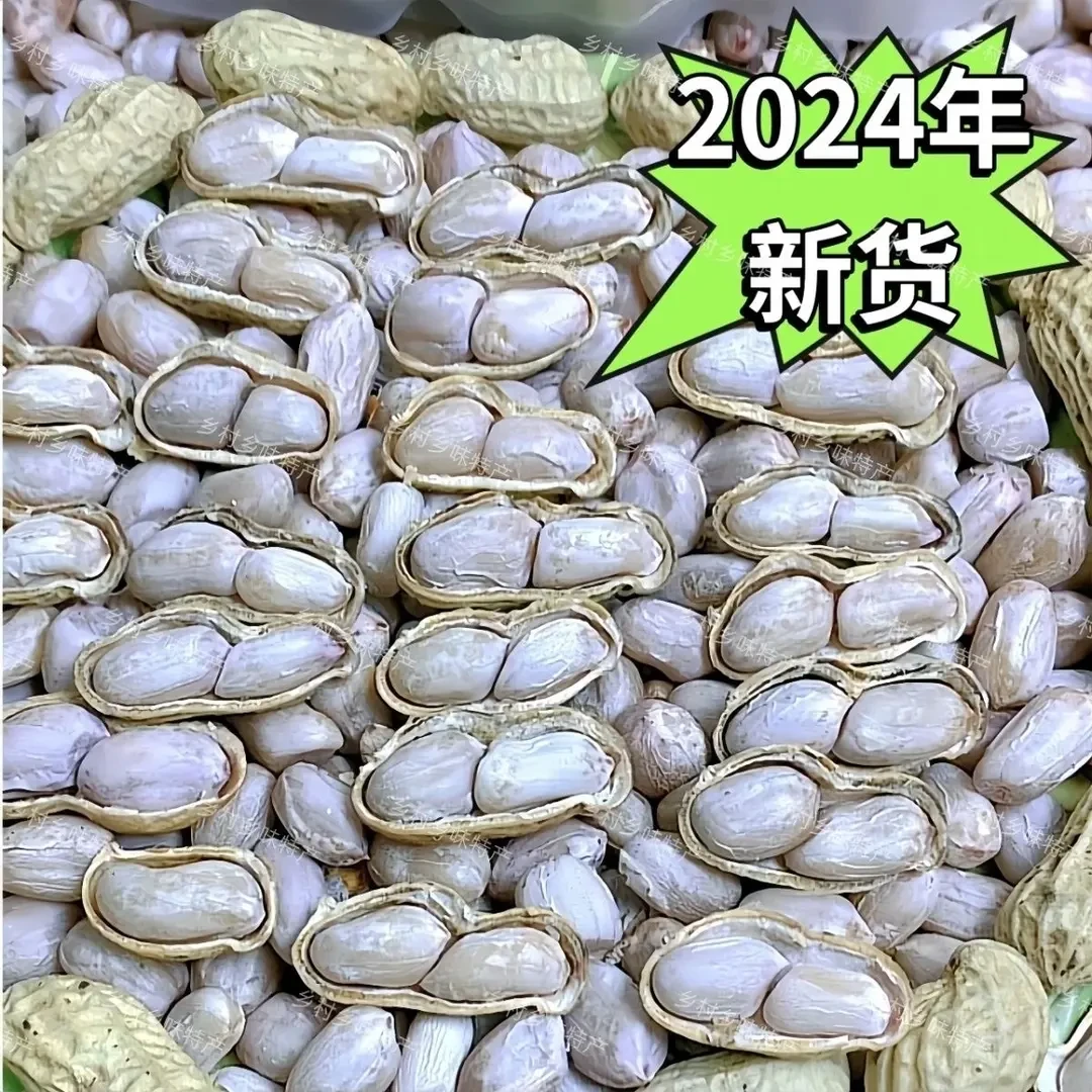 2025年新货水煮日晒花生龙岩工艺花生盐水咸干花生白晒带壳熟花生