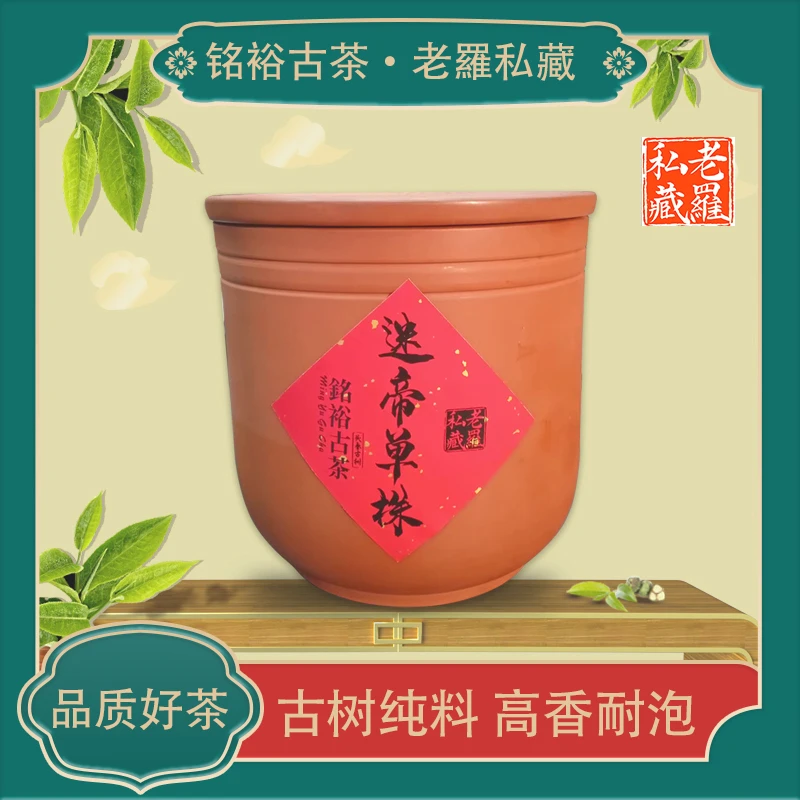 铭裕古茶2021年头春头采迷帝单株古树生200g/罐