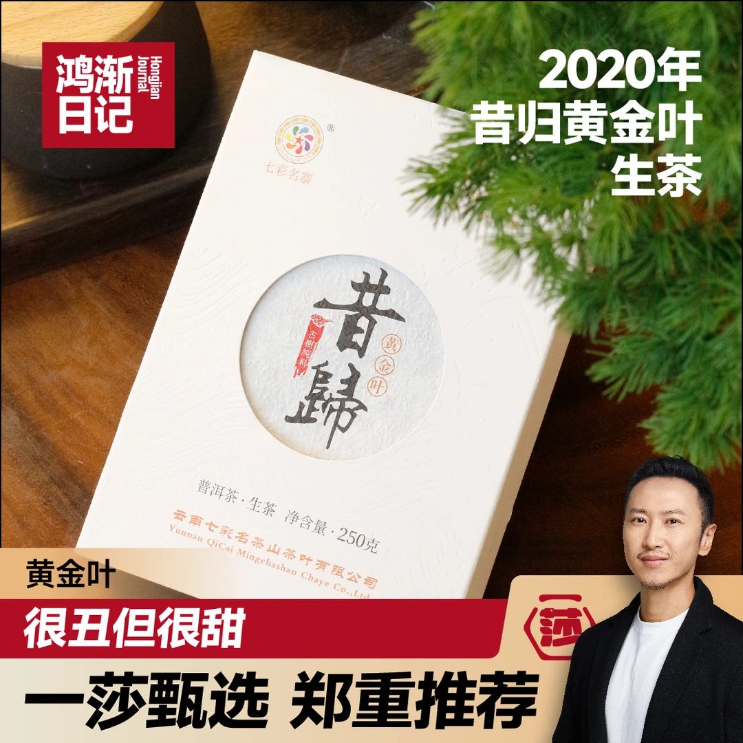《鸿渐日记》2020年云南昔归黄金叶纯古树茶大叶种普洱生茶250g茶砖