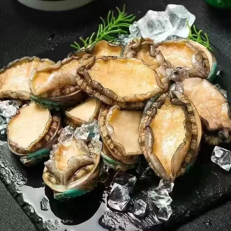 【阿俊专属】鲍鱼拍十送十到手20头送千手螺1个5-6公分/头液氮锁鲜