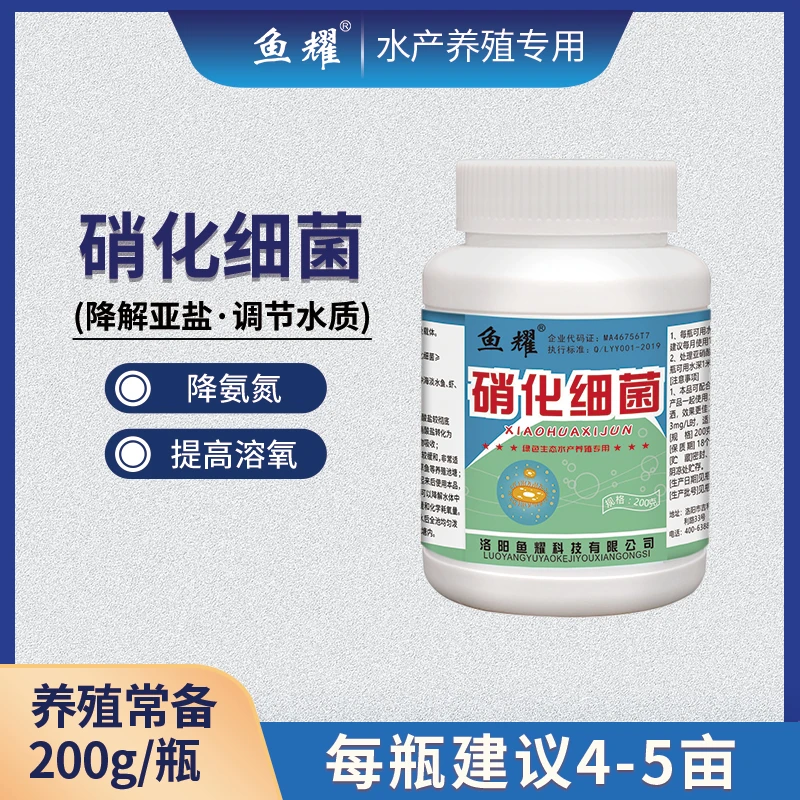 鱼耀硝化细菌 清理除氨氮分解有机质降亚盐稳定净化水质水产养殖