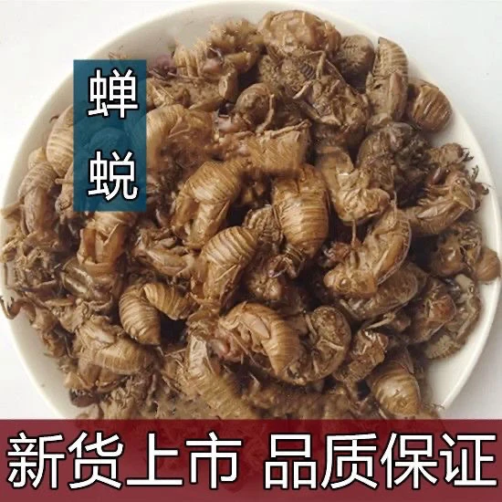 正宗蝉蜕蝉蜕蝉衣知了皮粉蝉壳粉蝉蜕粉净重量零售茯苓