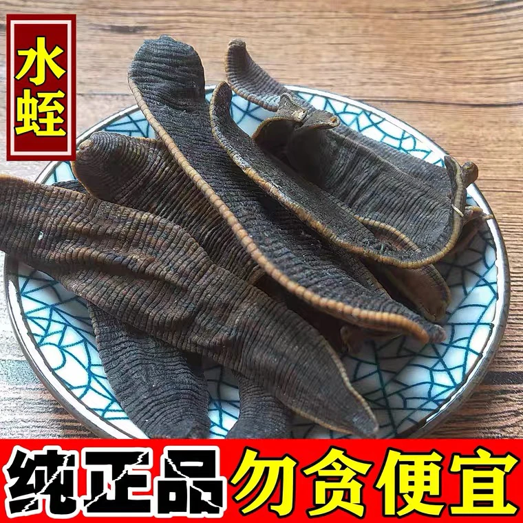中药材水蛭干货干品 蚂 蟥 宽体金线蛭 50g克包邮 蝎子