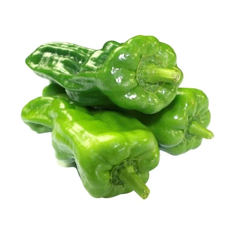 青椒-约500g/份