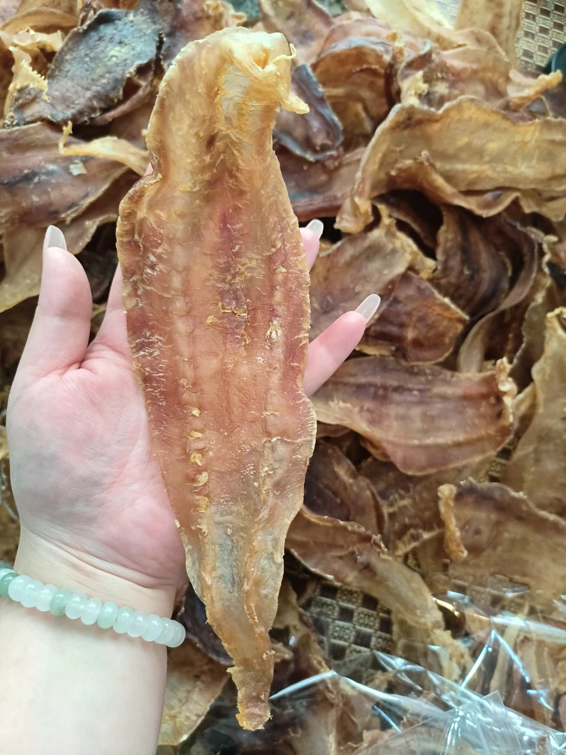 血鳘母肚老胶鱼胶厚肉15头