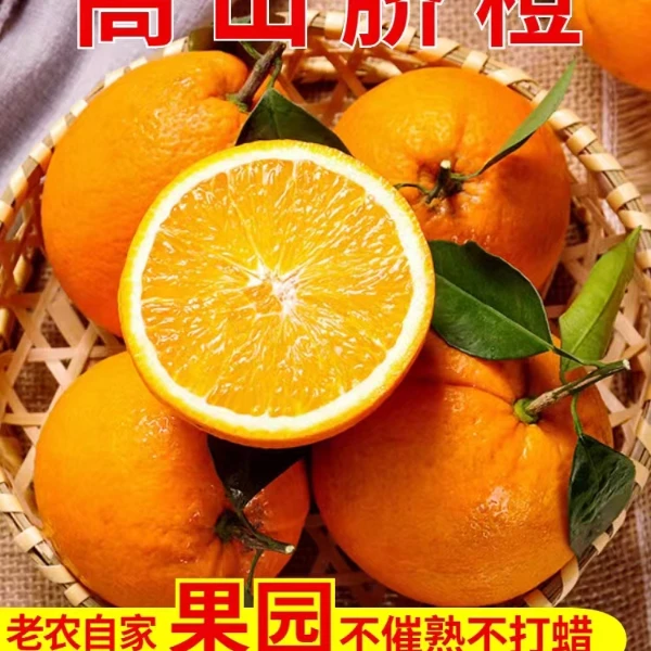 高山脐橙带箱9-10斤当季新鲜水果现摘手剥橙农家种植不洗果不打蜡