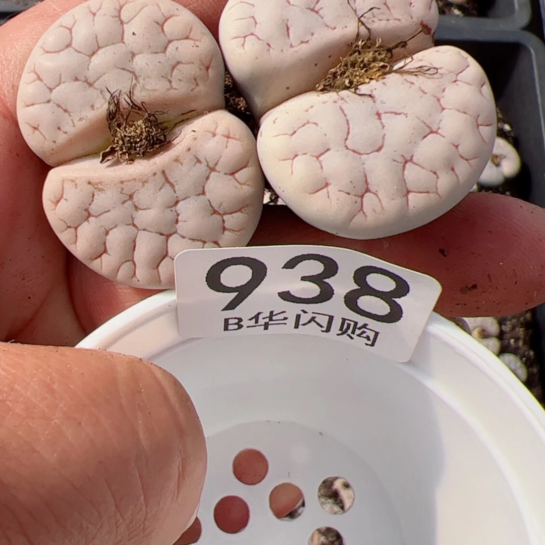 我很喜欢这个B938