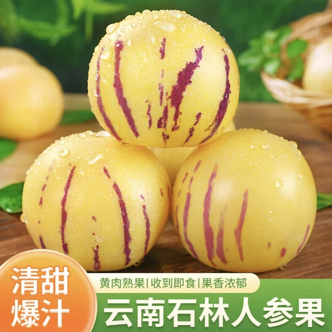 云南树熟人参果5斤中果单果50-80g大概31-50个装【白果包赔】