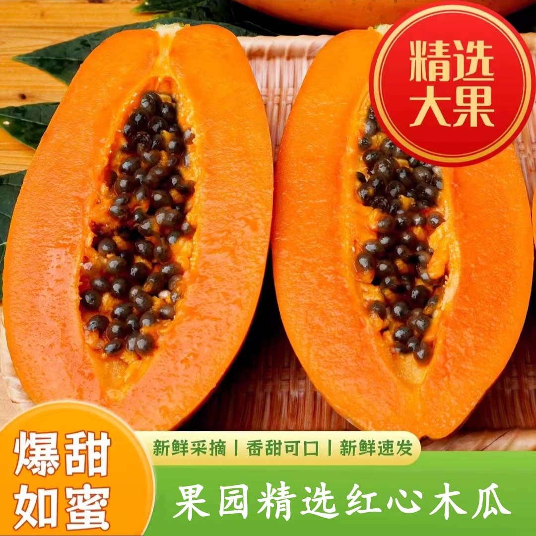 【催熟食用】 云南红心牛奶木瓜软糯香甜细腻美味多汁4.5斤2-4个