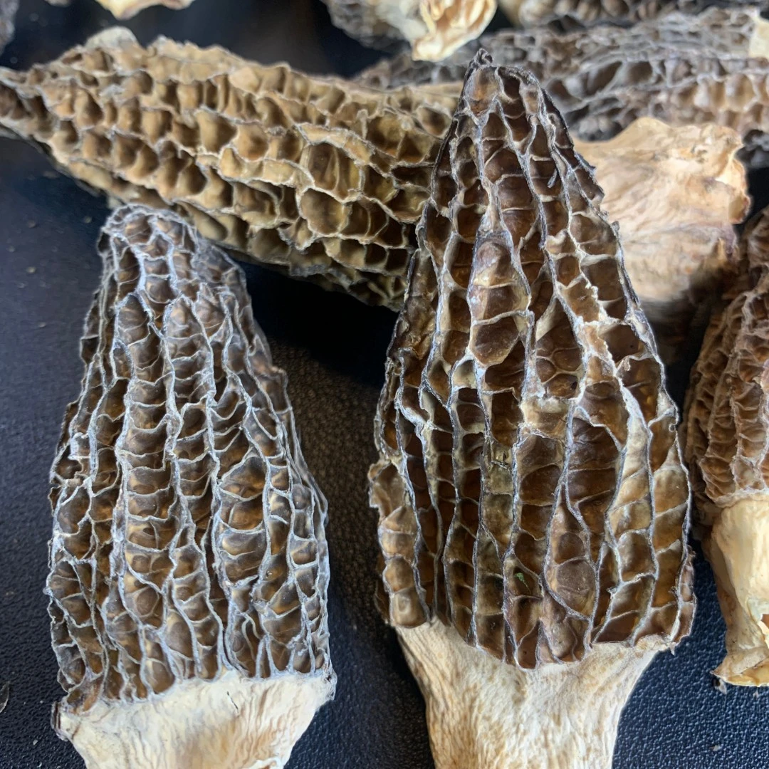 羊肚菌 云南特产 干货 精选货 煲汤 干羊肚菌 500克