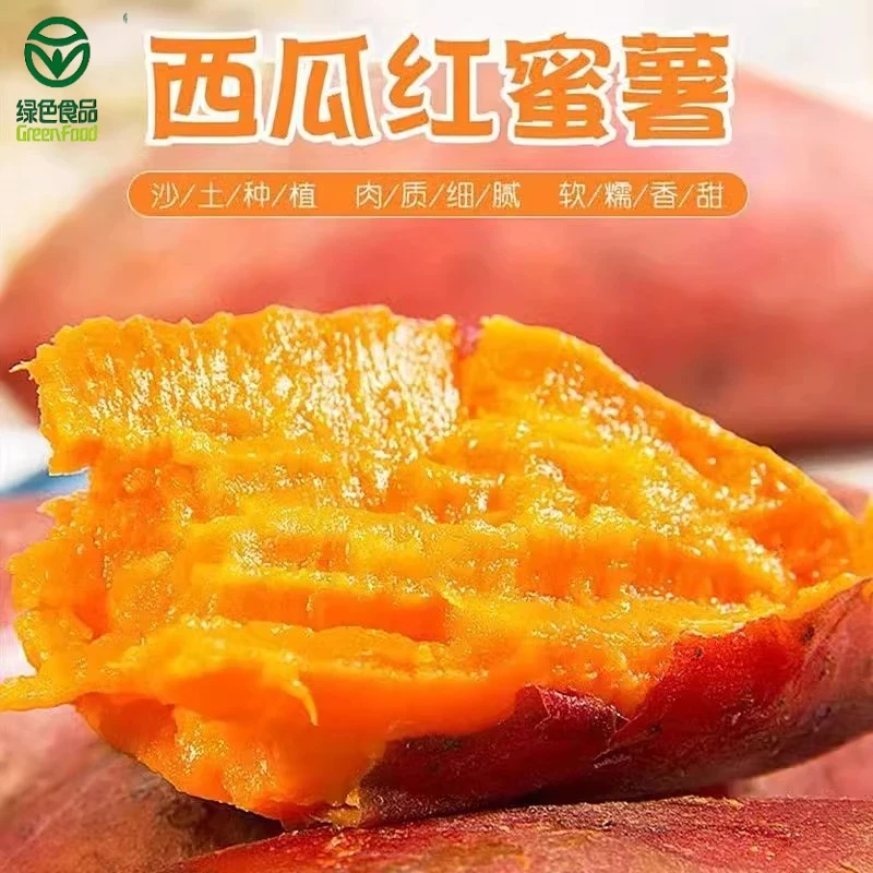 新鲜红心蜜薯西瓜红番薯自种红心板栗红薯软糯流糖绿色视频认证