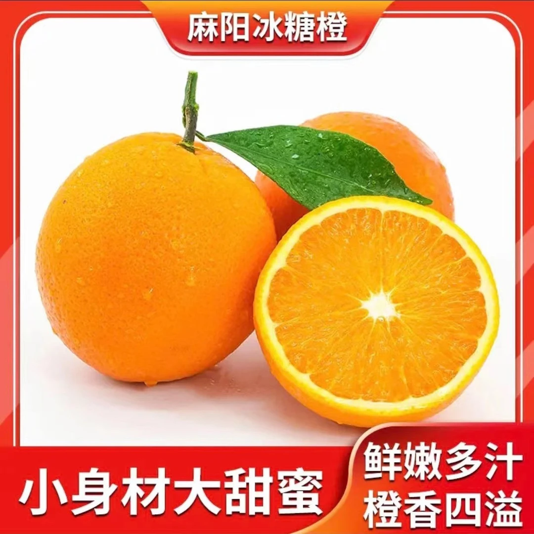 湖南正宗采摘麻阳冰糖橙新鲜阳光香甜皮薄酸甜爆汁