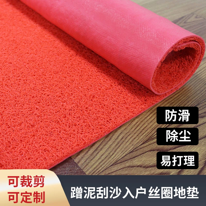 B料C料3A塑料pvc喷丝地垫加厚进门垫酒店迎宾 防滑防水地毯可剪裁