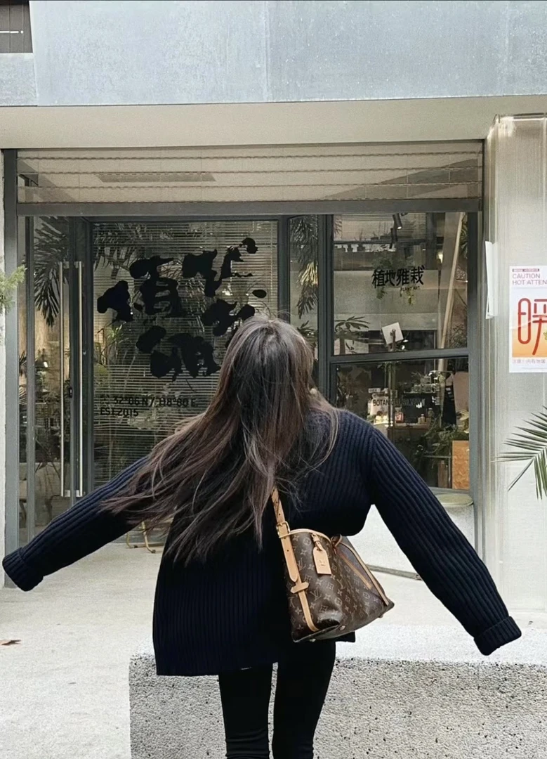 99新 LouisVuitton/路易威登 梵·心选/小号carryall/全原99新闲置