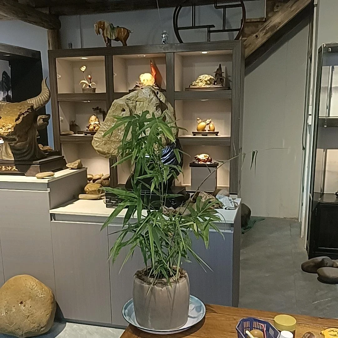 直播间专用链接，装饰器皿，民俗老物件老陶罐，陶罐器皿