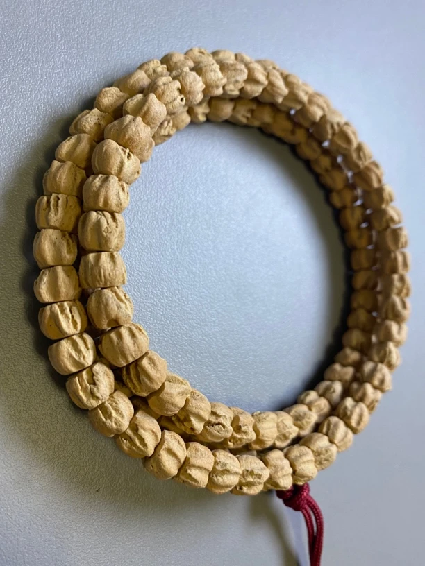 【鲨鱼鳍】刀锋狂龙脊 热振百香籽鲨鱼鳍108长串