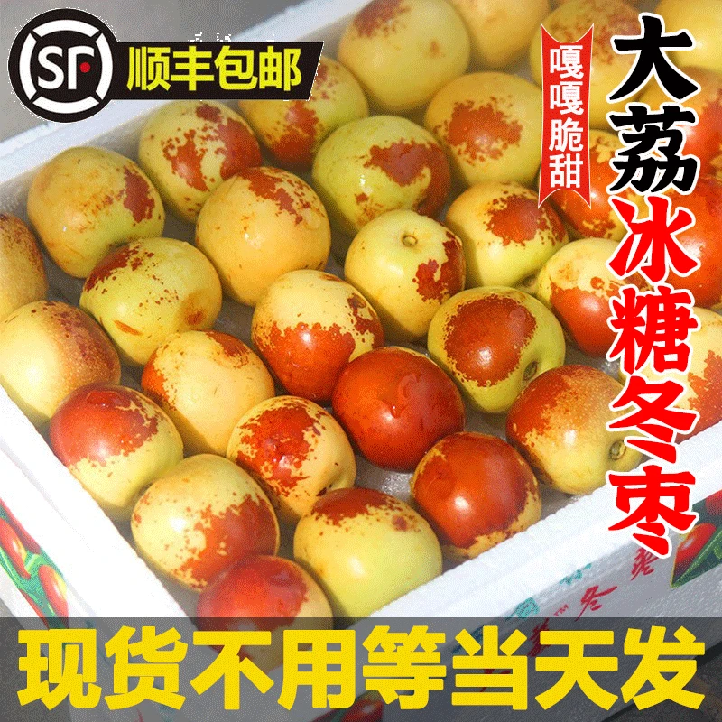【顺丰】正宗大荔冬枣2/3/5斤孕妇水果新鲜现摘嘎嘣脆甜皮薄肉厚