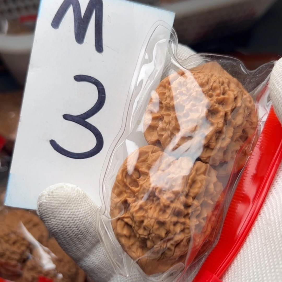 【闪购商品】文玩核桃把件3