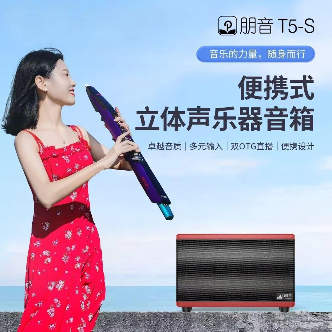朋音T5-S便携式音箱，电吹管专用，音乐骑士出品