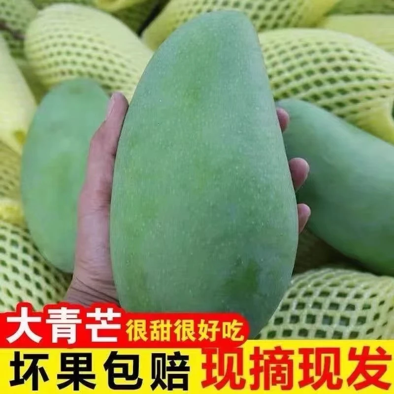 正宗越南大青芒新鲜现摘大青皮芒水果热带金煌甜心芒整箱包邮皮薄
