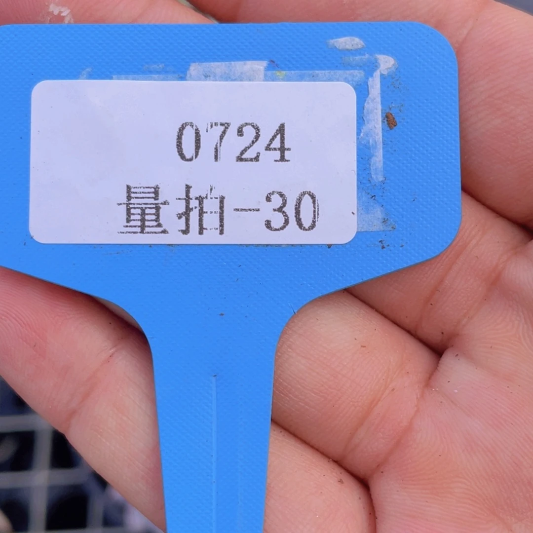 0724-30-福利美肉