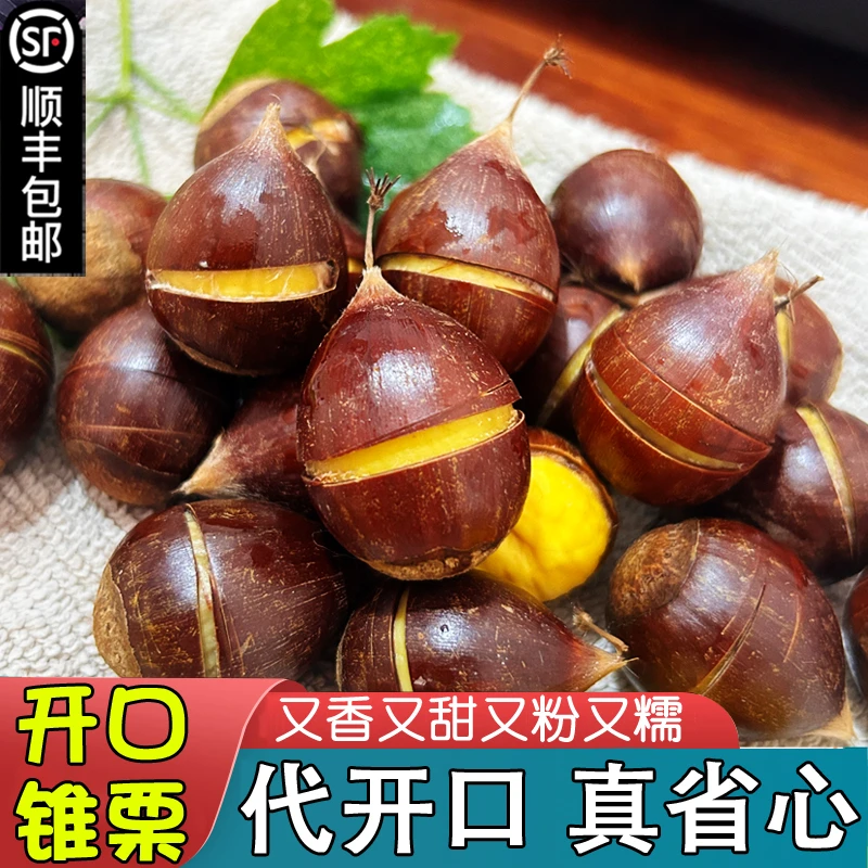 （代开口）新鲜生板栗建瓯高山锥栗油栗带壳栗子毛栗香甜粉糯糖炒栗