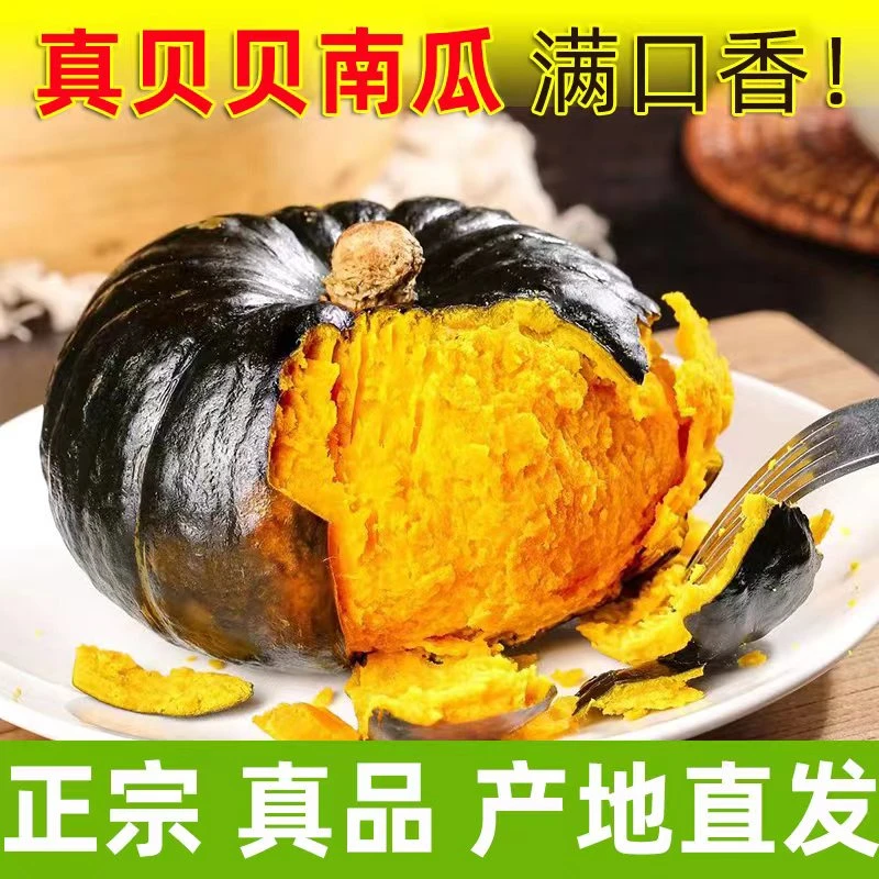 贝贝南瓜 4.5斤 板栗味粉糯细腻代餐粗粮原产地
