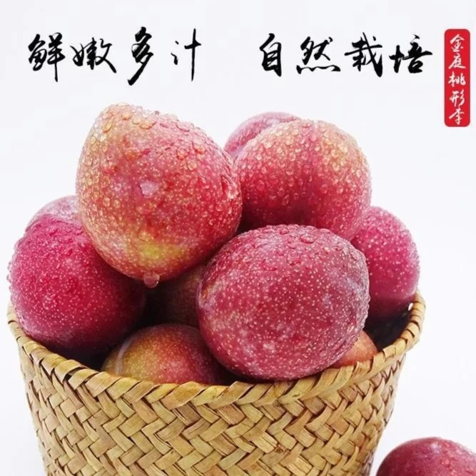 【精装24颗】正宗嵊州桃形李果园现摘孕妇水果红心李脆甜顺丰包邮